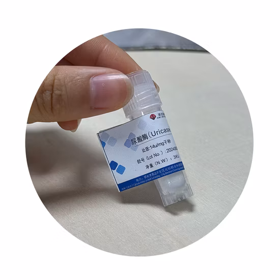Enzima diagnóstica Uricase Uao Almacenamiento sellado, oscuro y refrigerado
