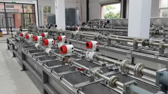 Medidor de flujo de agua para alimentos Medidor de flujo electromagnético sanitario